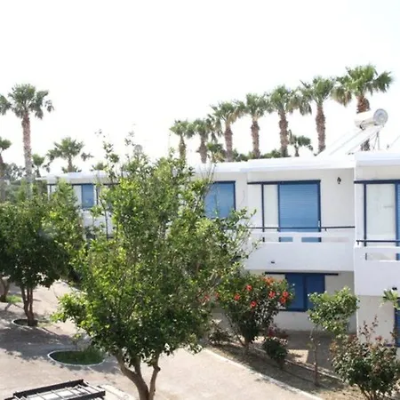 Oasis 2*